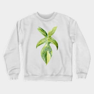 Philodendron 'Florida Beauty' | Rare Tropical Plant Crewneck Sweatshirt